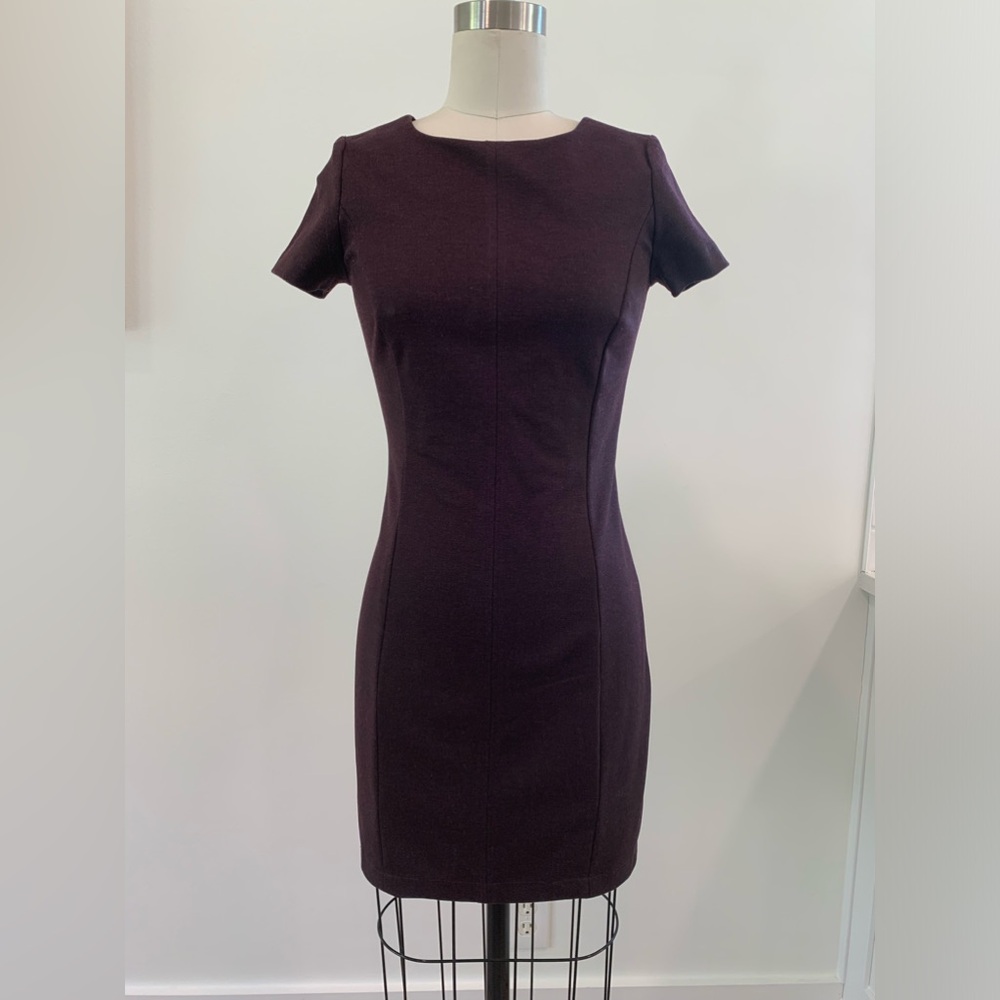 XS Cupcakes & Cashmere S\S Princess-Seam Dress